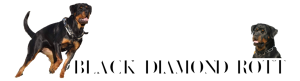 BLACK DIAMOND ROTT